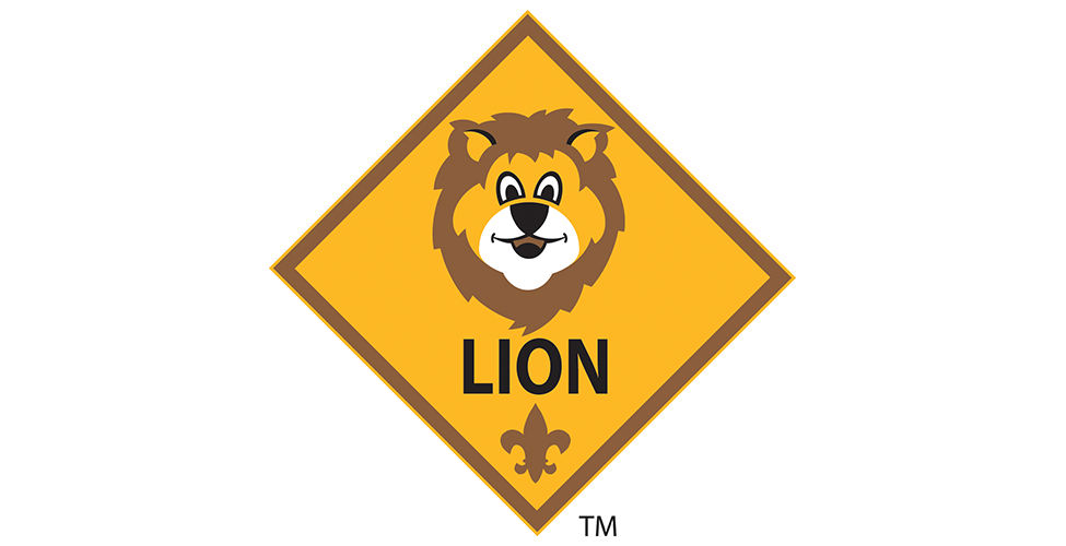 Image result for lion scouts