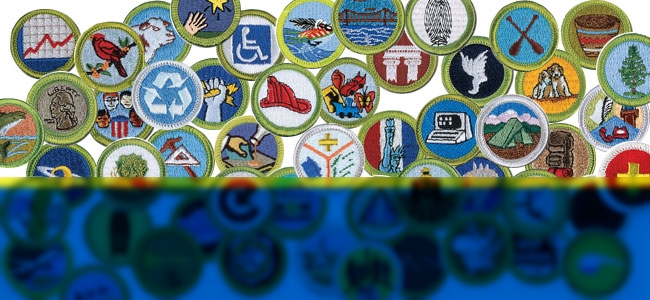 Check Out the 2014 Merit Badge Rankings!