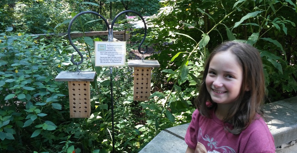 How These STEM Scouts Are “Bee”-ing Part of a Solution