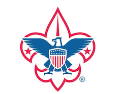 BSA logo